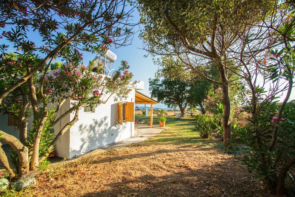 Mera Beachfront House - ฟาลาซาร์นา ภายนอก รูปภาพ